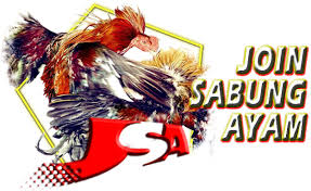 Event Sabung Ayam Lebaran